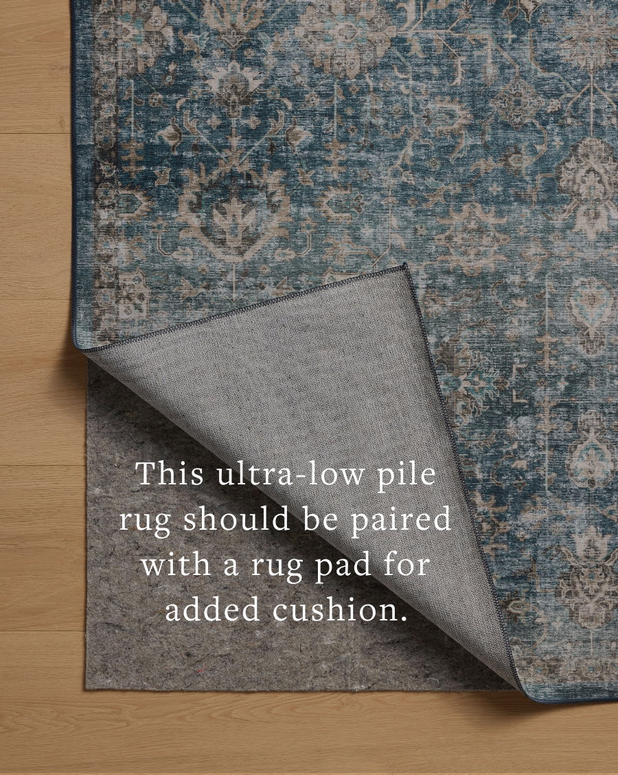 Loloi Anniston Rug, 2'6" length x 7'6" width View 4