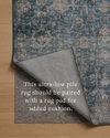 Loloi Anniston Rug, 2'6" length x 7'6" width thumbnail 4