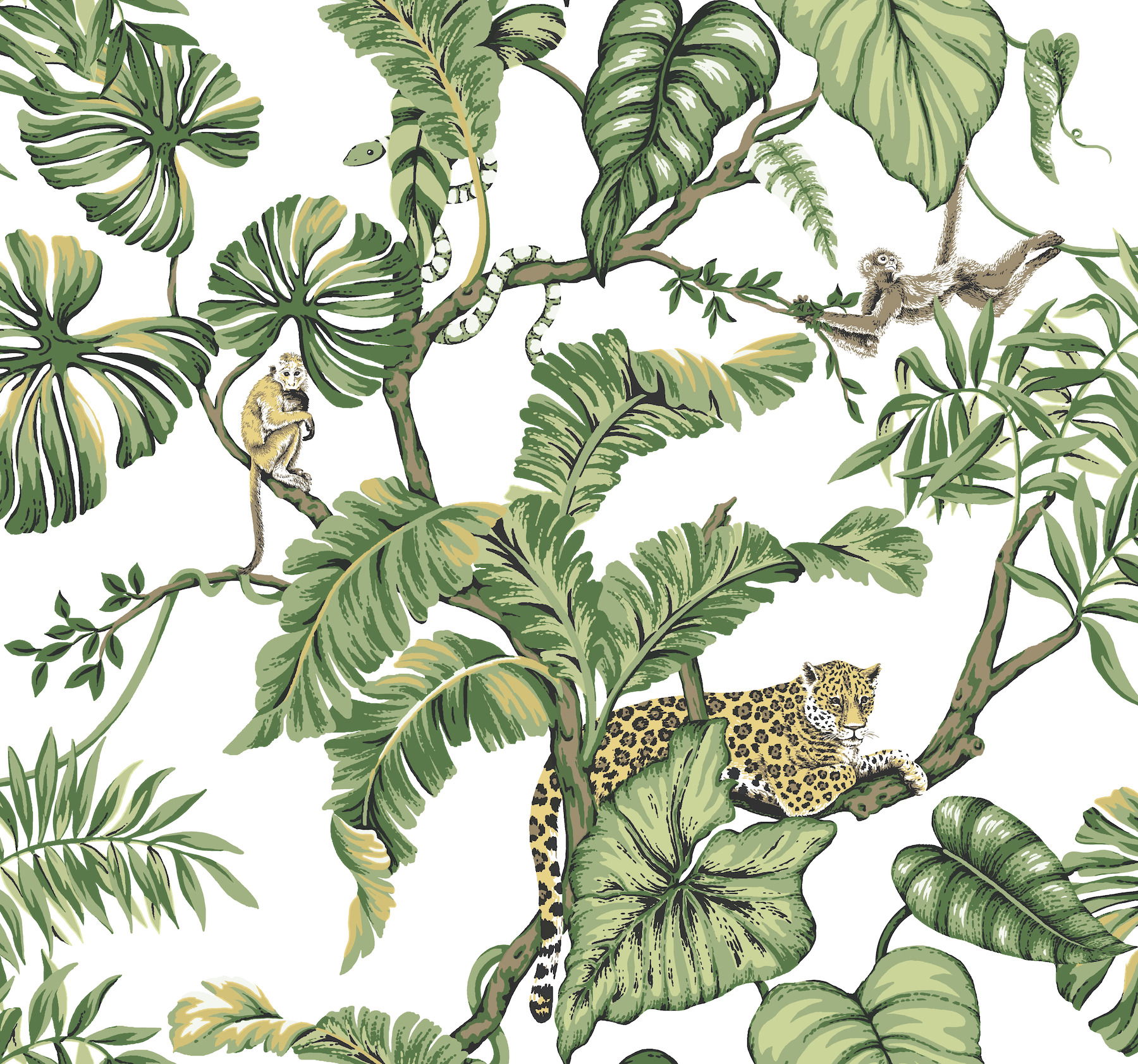 Jungle Cat White Wallpaper large image 
