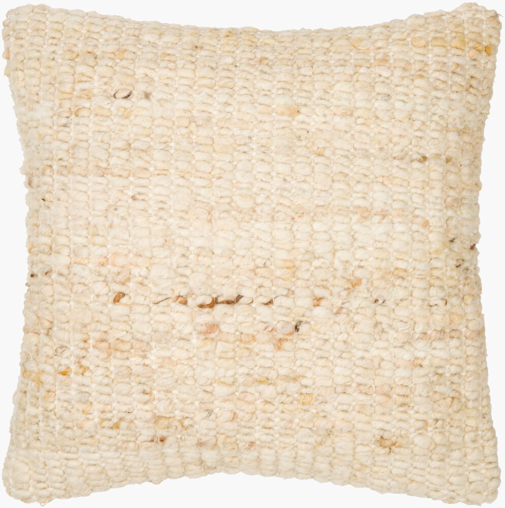 Zayden Accent Pillow, Decorative Pillow by Surya, 20" length x 20" width