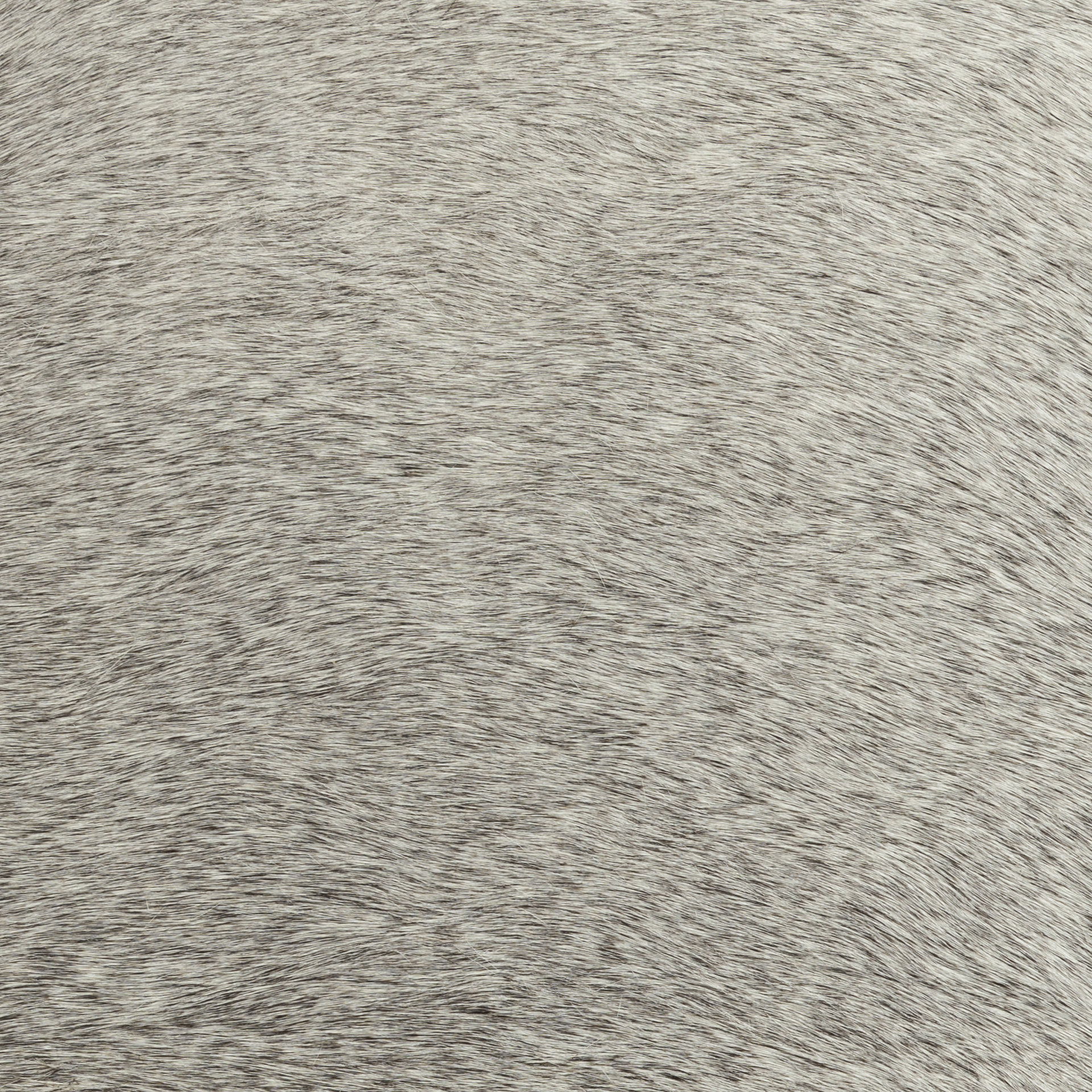 Zahavi 36' Gray Hair-On-hide with Metal Base Ottoman large image 