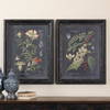 Midnight Botanicals Wall Art Set/2, by Uttermost, 24.62" width x 32.62" height x 2.37" depth thumbnail 2