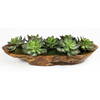 Yuma Succulent Centerpiece, Artificial Plants & Flower by Uttermost, 27" width x 8" height x 11" depth thumbnail 1