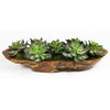 Yuma Succulent Centerpiece, Artificial Plants & Flower by Uttermost, 27" width x 8" height x 11" depth thumbnail 1