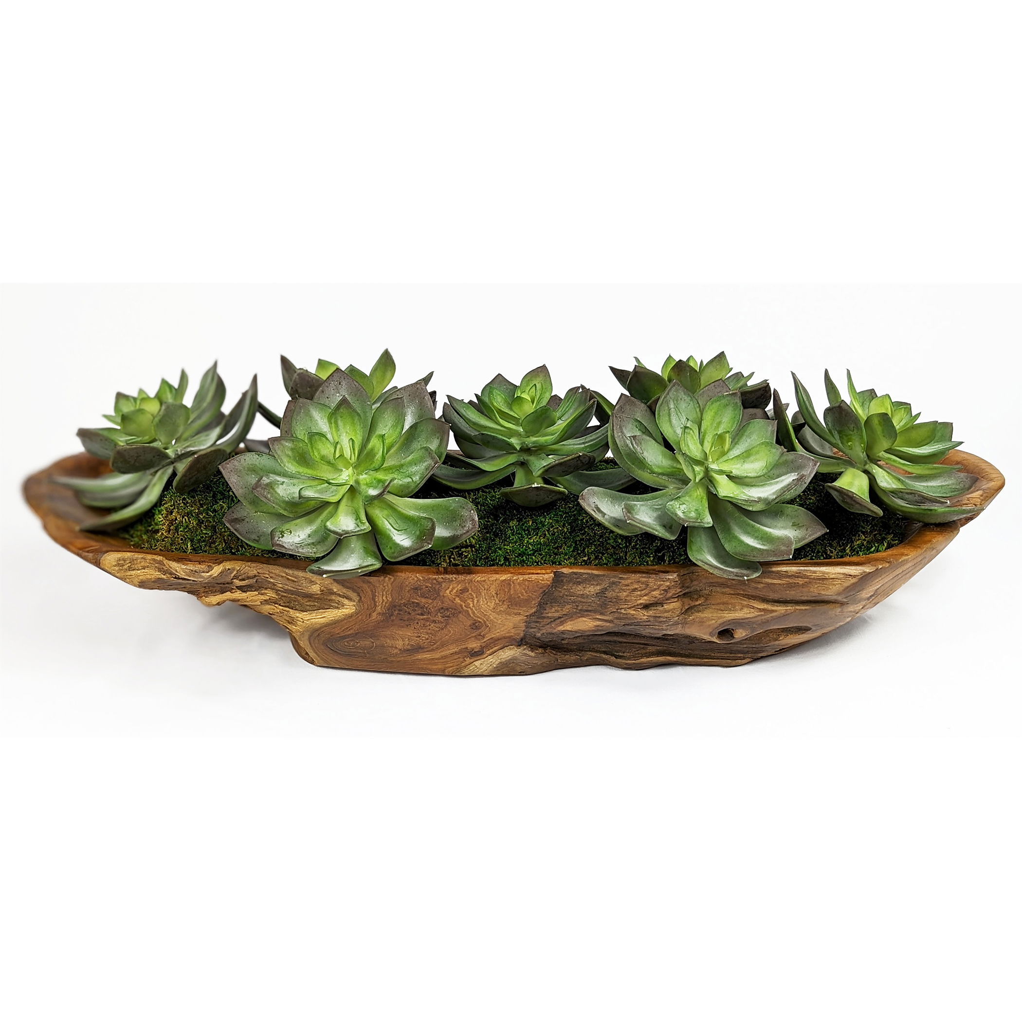 Yuma Succulent Centerpiece, Decorative by Uttermost, 27" width x 8" height x 11" depth View 1