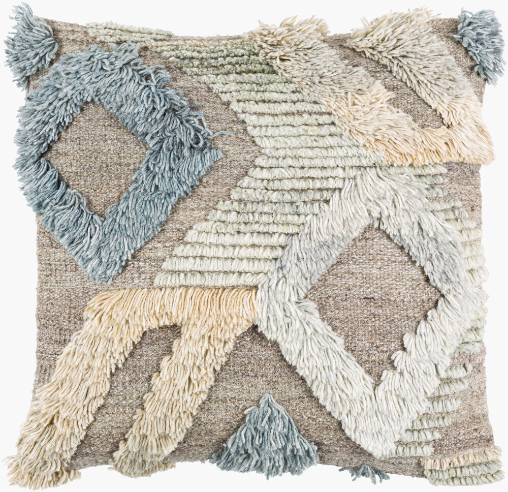 Baracoa Accent Pillow, Decorative Pillow by Surya, 20" length x 20" width