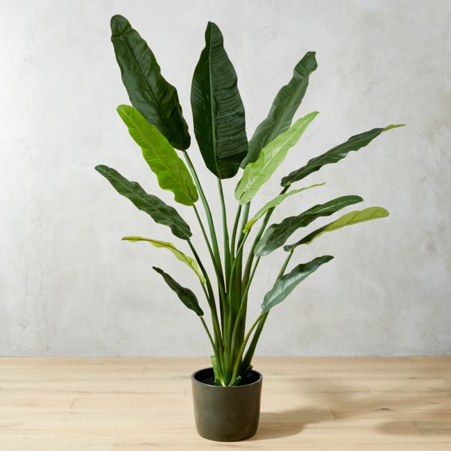 Online Designer Combined Living/Dining Potted Faux Bird of Paradise 6'