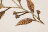 Loloi Naturae Wall Art, Wall Hanging, 12" length x 15" width thumbnail 3