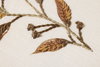 Loloi Naturae Wall Art, Wall Hanging, 12" length x 15" width thumbnail 3