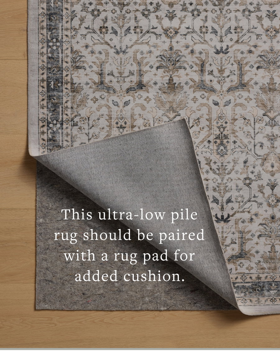 Loloi Anniston Rug, 5' length x 7'6" width View 5