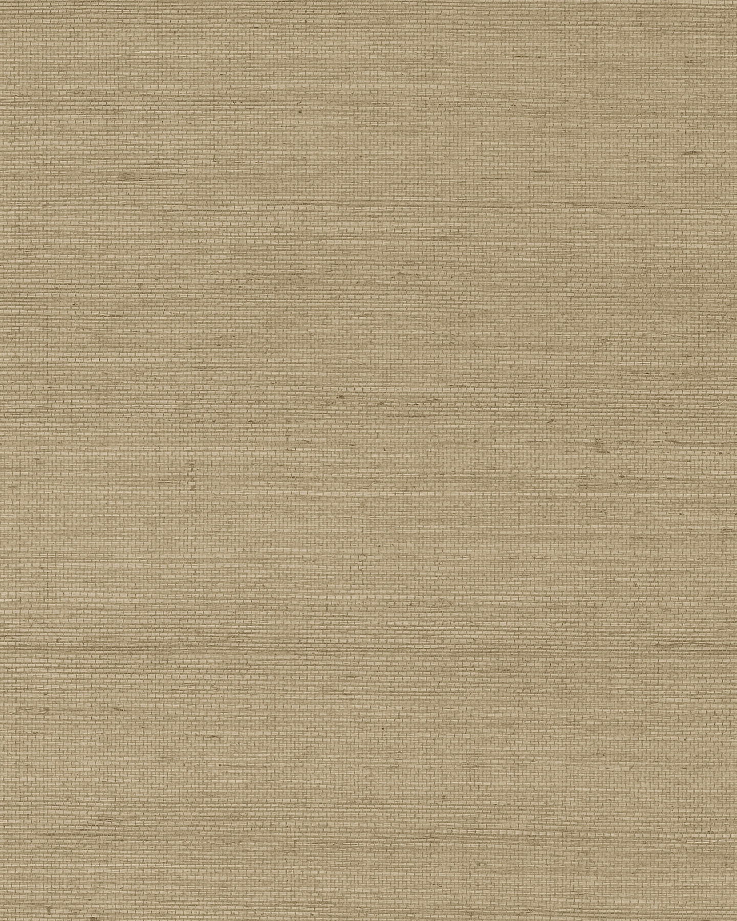 Maguey Sisal Dune Wallpaper large image 