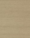 Maguey Sisal Dune Wallpaper thumbnail 0