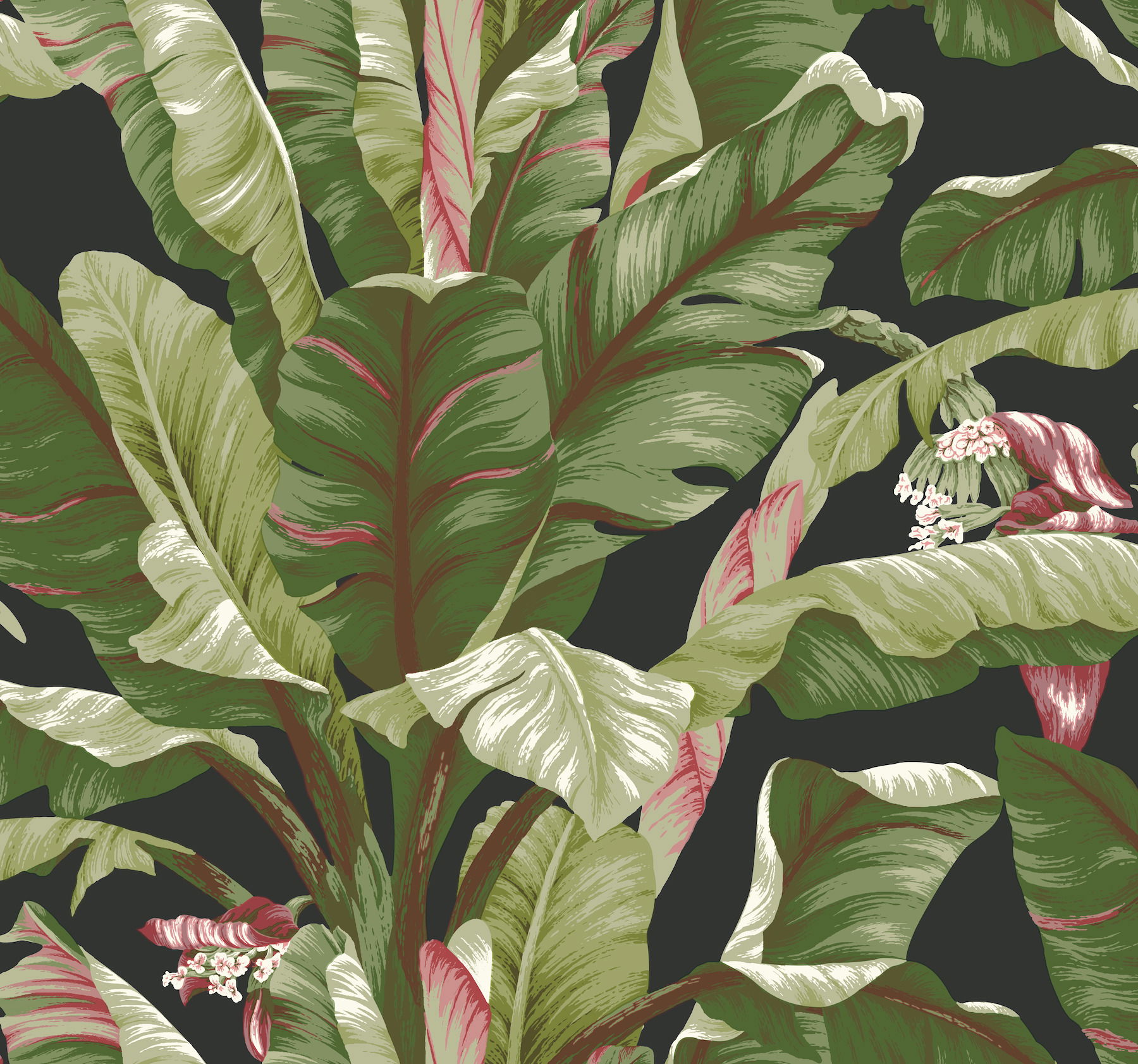 Banana Leaf Black & Red Wallpaper, by York Wall, 27' length x 2'3" width x 0.02" depth View 1