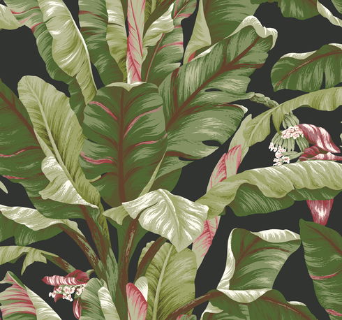 Banana Leaf Black & Red Wallpaper
