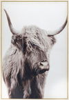 Dartmoor Framed Art thumbnail 0