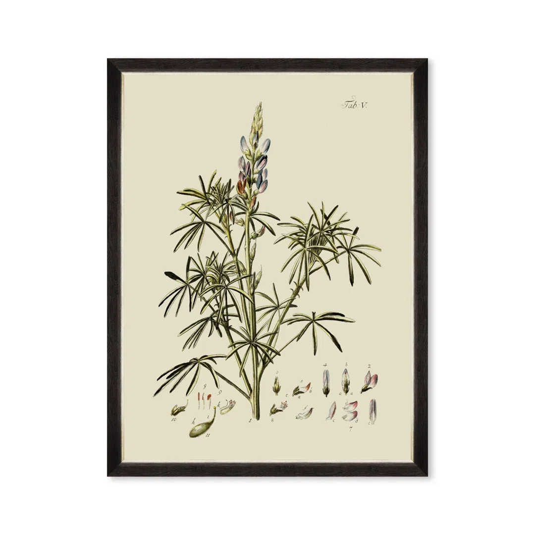 BOTANICAL VI, Sculptural Wall Art by Mind the Gap