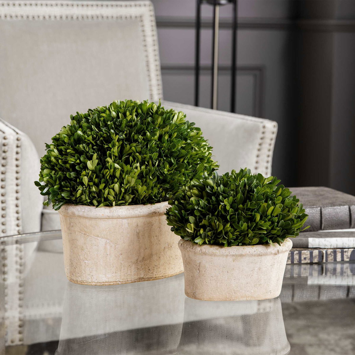 Oval Domes Preserved Boxwood Set/2, Artificial Plants & Flower by Uttermost, 14" width x 12" height x 8" depth View 2