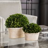 Oval Domes Preserved Boxwood Set/2, Artificial Plants & Flower by Uttermost, 14" width x 12" height x 8" depth thumbnail 2