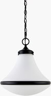 Olot Pendant, by Surya, 13" length x 13" width x 15" height thumbnail