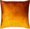 Theodosia Accent Pillow Down, Decorative Pillow by Surya, 20" length x 20" width thumbnail