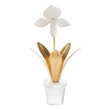 Online Designer Bedroom Lady Slipper Orchid