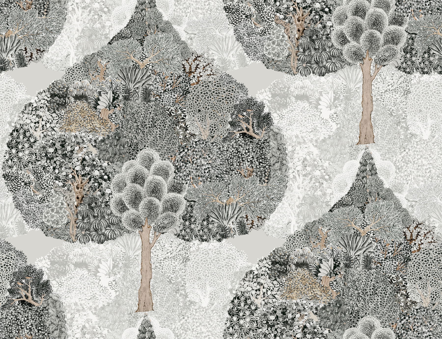 Mystic Forest Black Wallpaper large image 