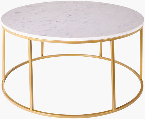 Aryaa Coffee Table