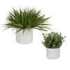 Edgewood Greenery Set/2, Artificial Plants & Flower by Uttermost, 18" width x 14" height x 18" depth thumbnail 3