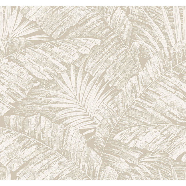 Palm Cove Toile White & Taupe Wallpaper large image 
