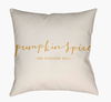 Pumpkin Spice Accent Pillow, Decorative Pillow by Surya, 20" length x 20" width thumbnail