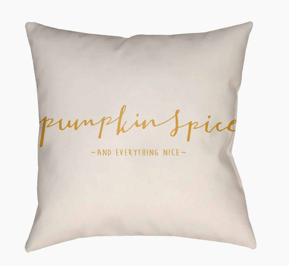Pumpkin Spice Accent Pillow, Decorative Pillow by Surya, 20" length x 20" width
