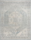 Alpharetta Machine Woven Rug, by Surya, 1'3.75" length x 1'3.75" width thumbnail