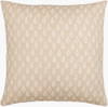 Diggi Accent Pillow, Decorative Pillow by Surya, 20" length x 20" width thumbnail