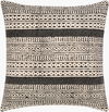 Janya Accent Pillow, Decorative Pillow by Surya, 18" length x 18" width thumbnail