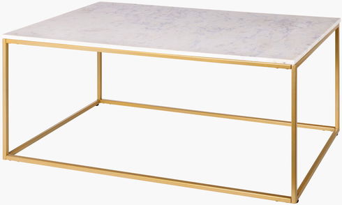 Aryaa Coffee Table