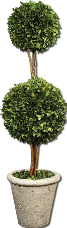 Online Designer Living Room Two Sphere Topiary Preserved Boxwood