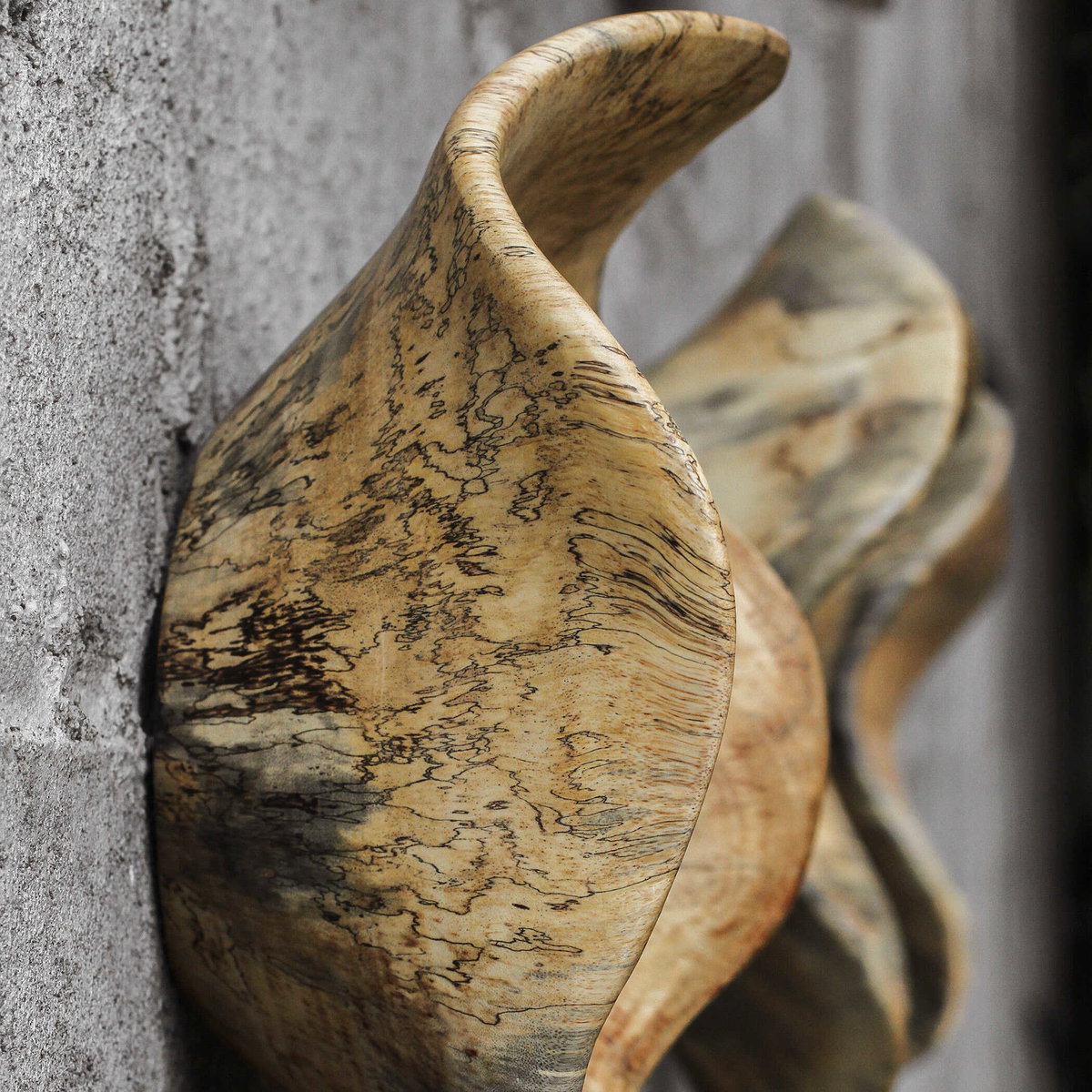 Tamarine Wood Wall Art Set/3, Sculptural Wall Art by Uttermost, 10" width x 10" height x 4.3" depth View 7