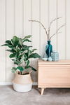 French Linen Stripe Soft Linen Wallpaper thumbnail 2
