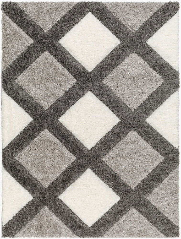 Bologna Machine Woven Rug large image 