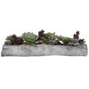 Charita Lush Succulents, Artificial Plants & Flower by Uttermost, 29.5" width x 10" height x 10" depth thumbnail 4