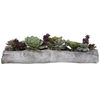 Charita Lush Succulents, Decorative by Uttermost, 29.5" width x 10" height x 10" depth thumbnail 4