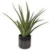 Tucson Aloe Planter, Artificial Plants & Flower by Uttermost, 17" width x 19" height x 17" depth thumbnail 1