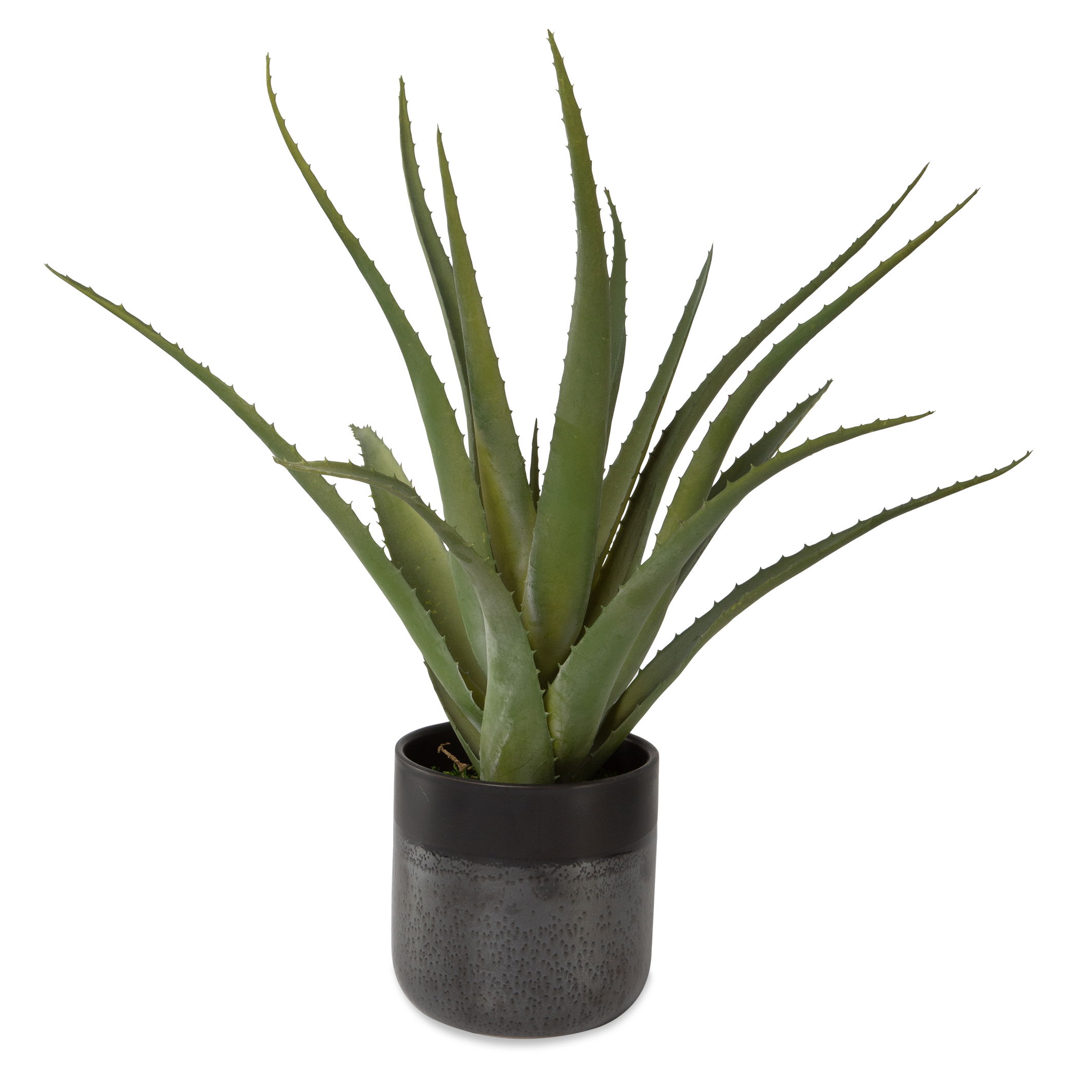 Tucson Aloe Planter, Decorative by Uttermost, 17" width x 19" height x 17" depth View 1