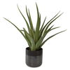 Tucson Aloe Planter, Decorative by Uttermost, 17" width x 19" height x 17" depth thumbnail 1