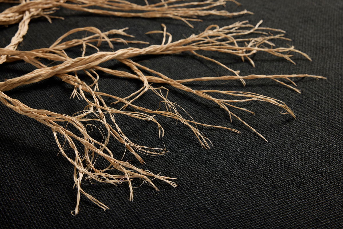 Loloi Rooted Wall Art, Wall Hanging, 44" length x 51" width View 2