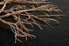 Loloi Rooted Wall Art, Wall Hanging, 44" length x 51" width thumbnail 2