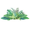Watercolor Tropical Leaves XL Giant Wall Decals, by York Wall, 3' length x 2'2.12" width x 0.02" depth thumbnail