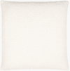 Olinda Accent Pillow, Decorative Pillow by Surya, 22" length x 22" width thumbnail