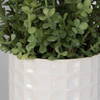 Edgewood Greenery Set/2, Artificial Plants & Flower by Uttermost, 18" width x 14" height x 18" depth thumbnail 4