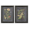 Midnight Botanicals Wall Art Set/2, Painting by Uttermost, 24.62" width x 32.62" height x 2.37" depth thumbnail 1